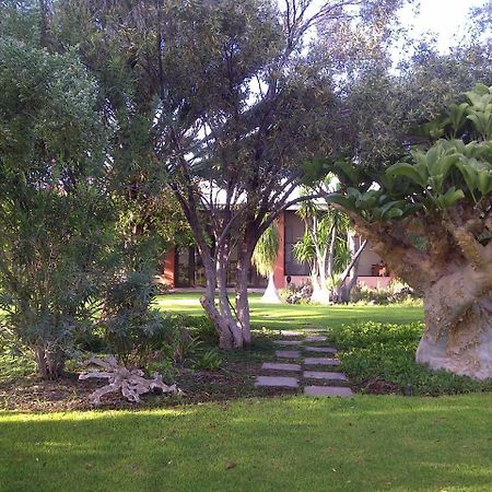 Buschberg Guest Farm Villa Outjo Exterior foto