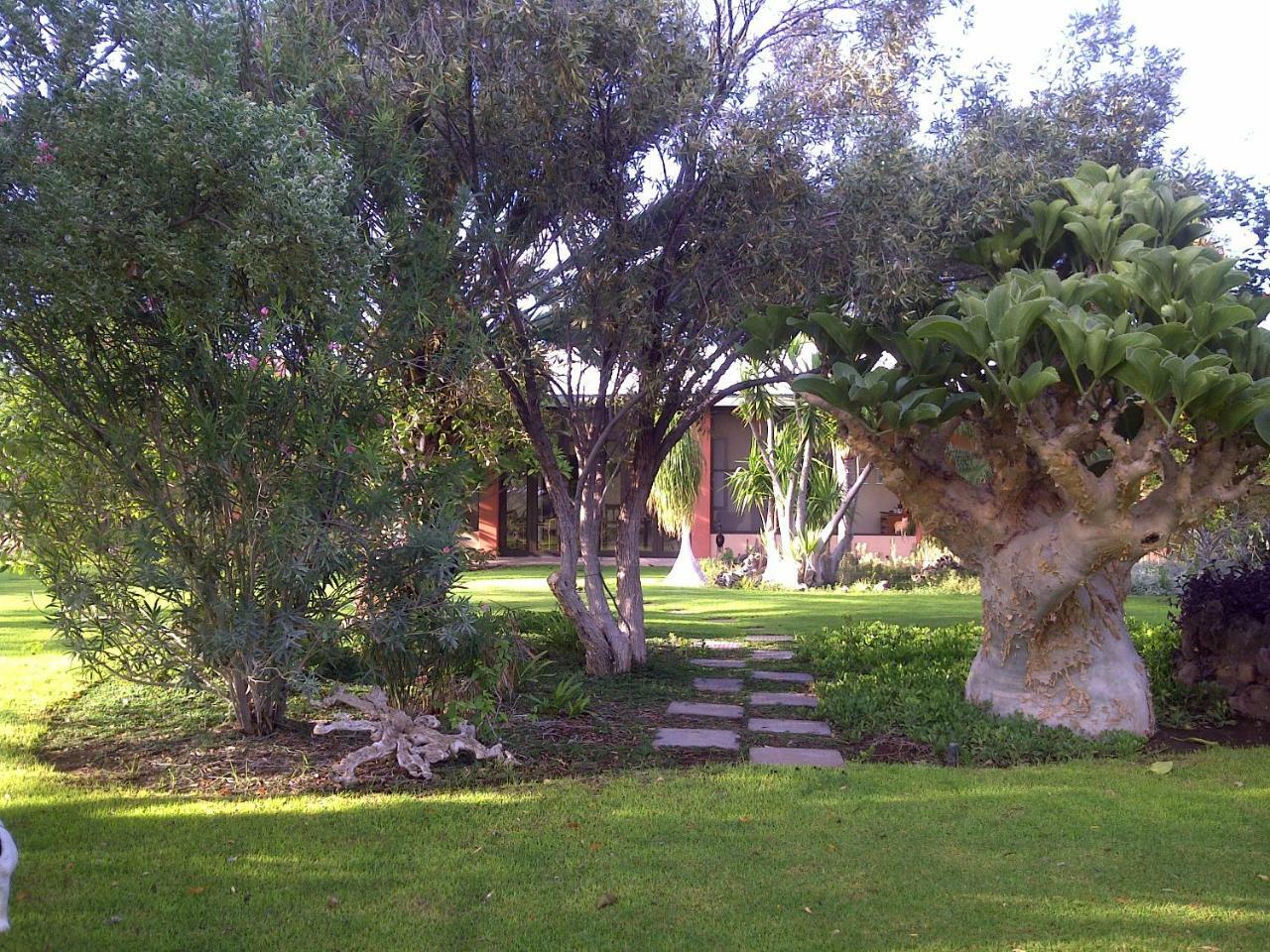 Buschberg Guest Farm Villa Outjo Exterior foto